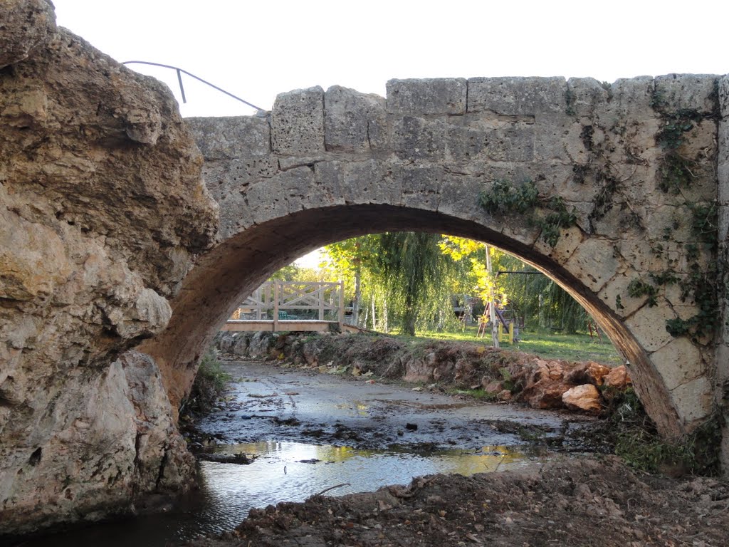 Puente by juan jose cantero gomez