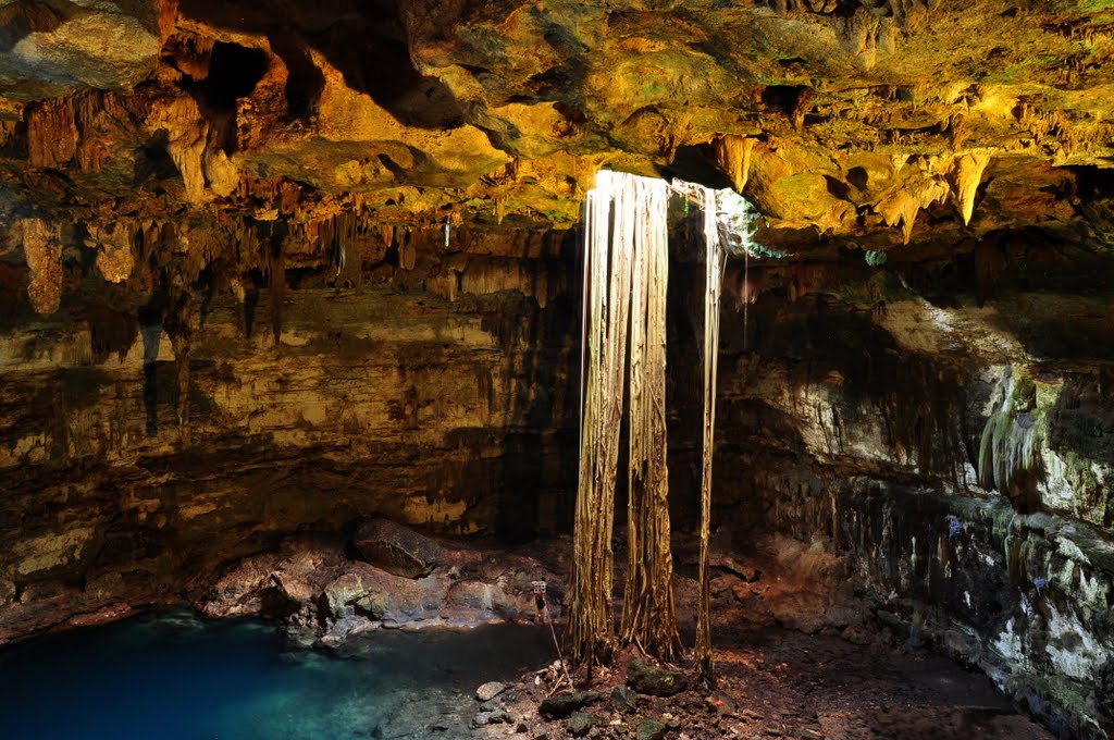 Cenote Yucatan by Guillermo Bendfeldt