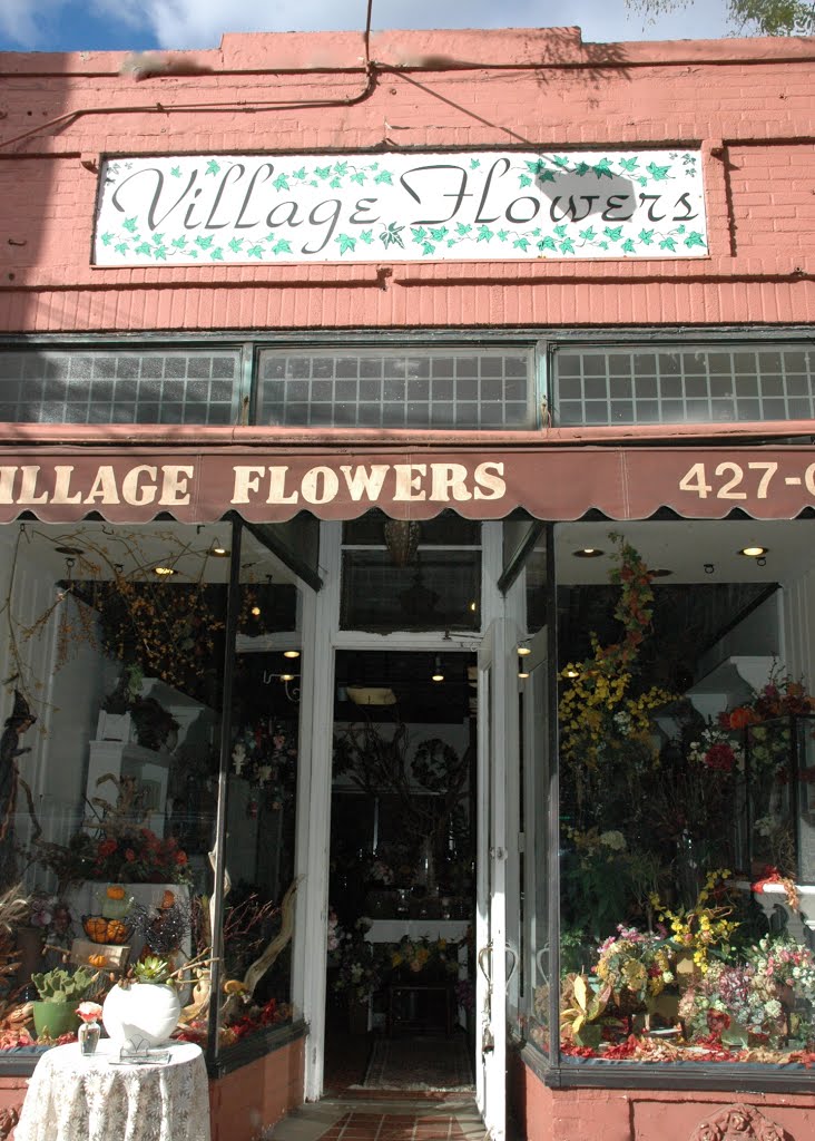 Village Flowers in Huntington, NY by dotcalm9