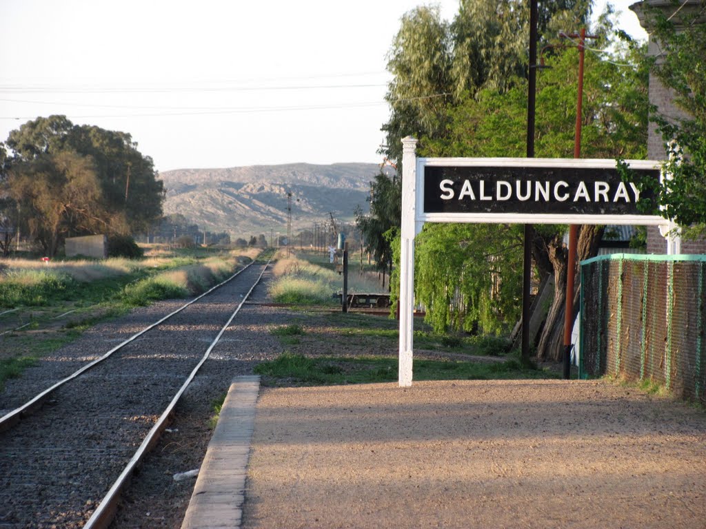 Estación Saldungaray y las sierras by Santiago Matamoro