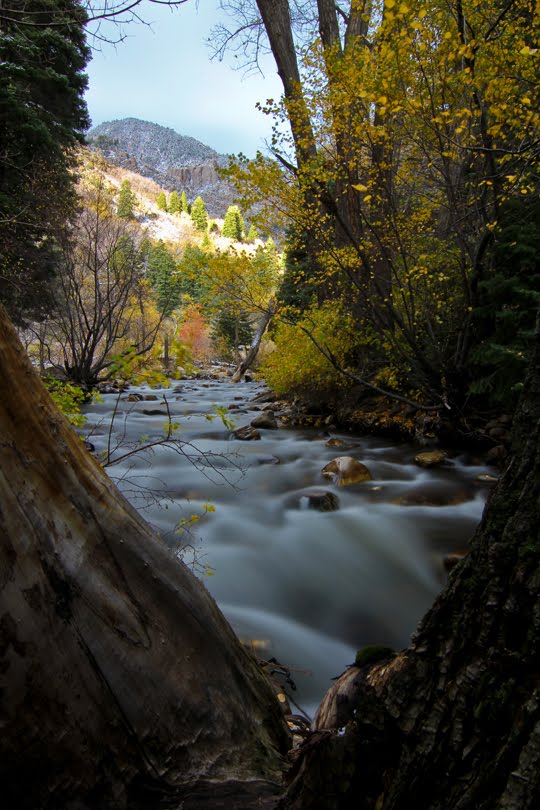 Big cottonwood river and autumn snow by spencer baugh