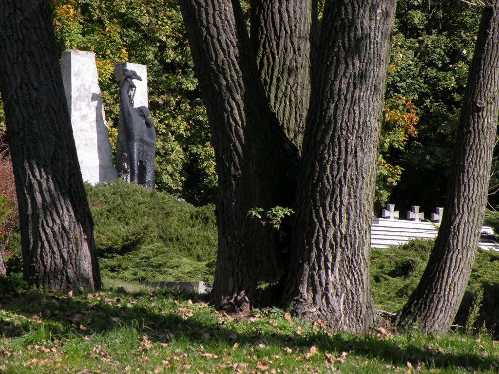 Puławy, Cmentarz Wojenny; pomnik ofiar II wojny światowej by Piotr Młynarczyk