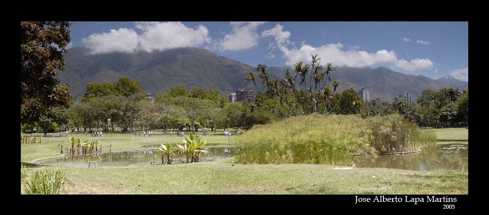 Parque del Este (al fondo el Cerro El Avila) Foto by Alberto Lapa M. by RubenP