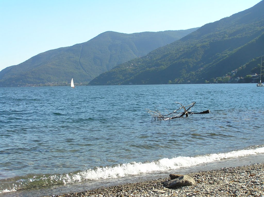 Vista verso sud dal lido di Brissago by Filippo Pantellini