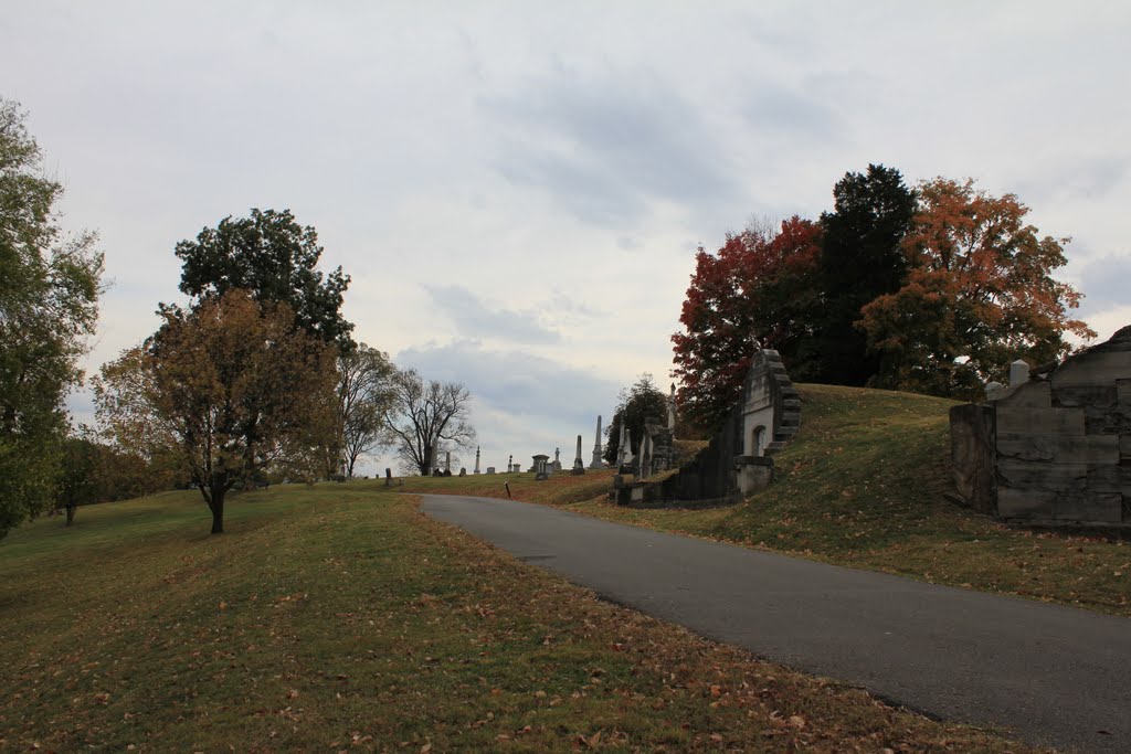 Mount Olivet Cemetery in Nashville, TN 9 by mlpntr