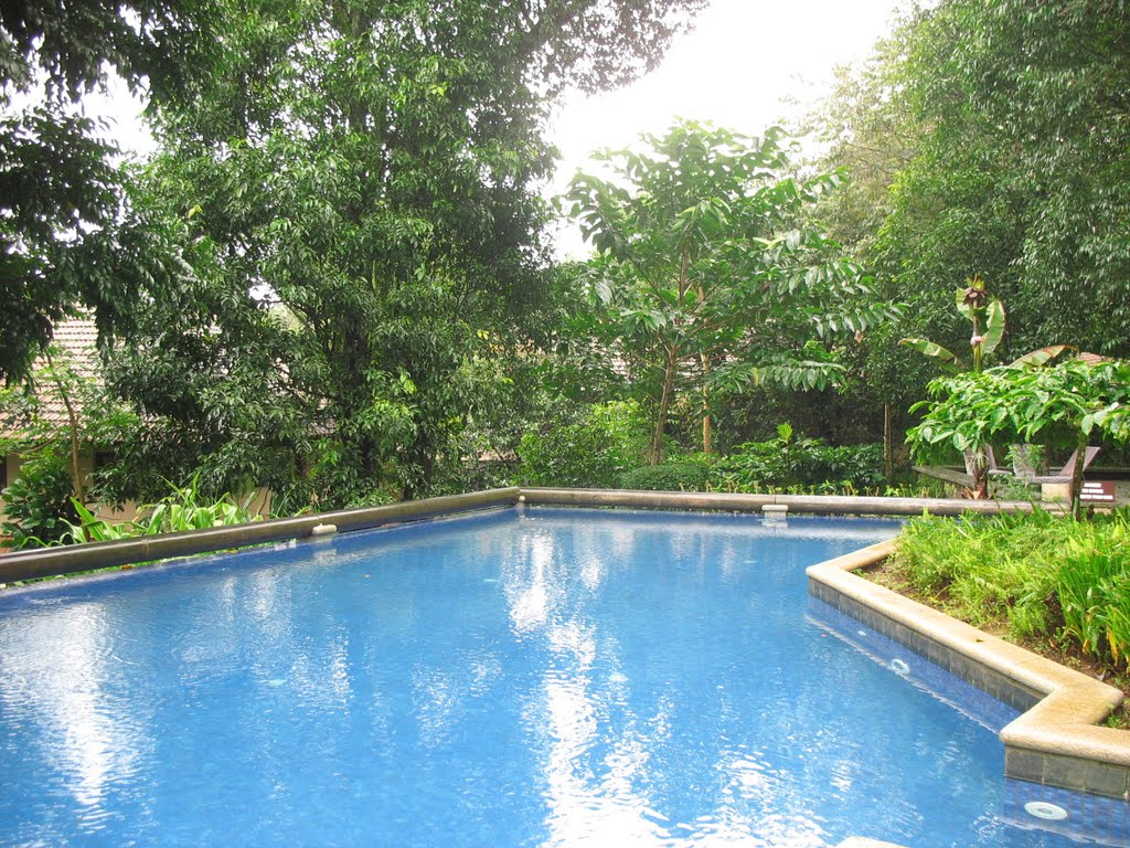 Club Mahindra Coorg - Pool View by bhaskar_agarwal