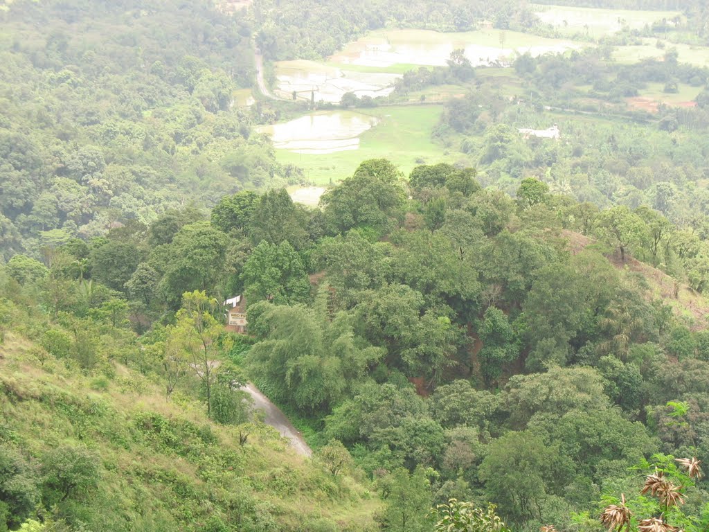 View of Kodagu Valley from Raja's Seat by bhaskar_agarwal