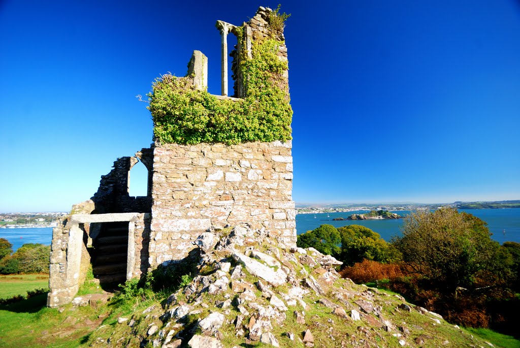 The Folly, Edgecumbe Park by Mike Hartland