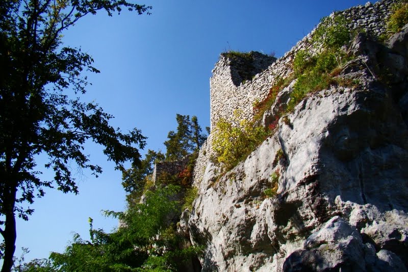 Die Burg bei Morsko by Stefan Nitsche