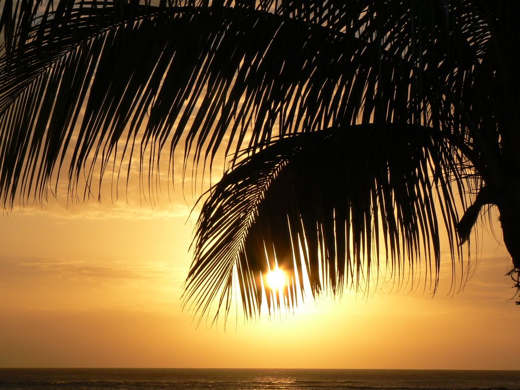 Coucher de Soleil vue du Cannonier by Stephane Fabre