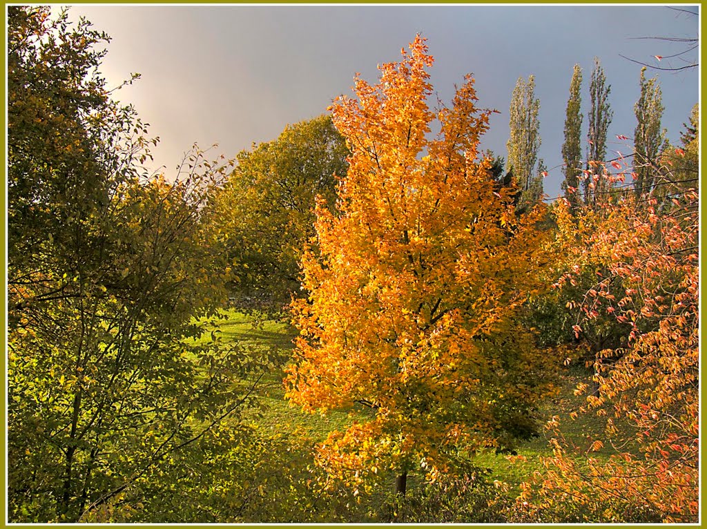 Hannover-Bothfeld, Bothfelder Anger im Herbst; 25-10-2010 by fuchsensteiner