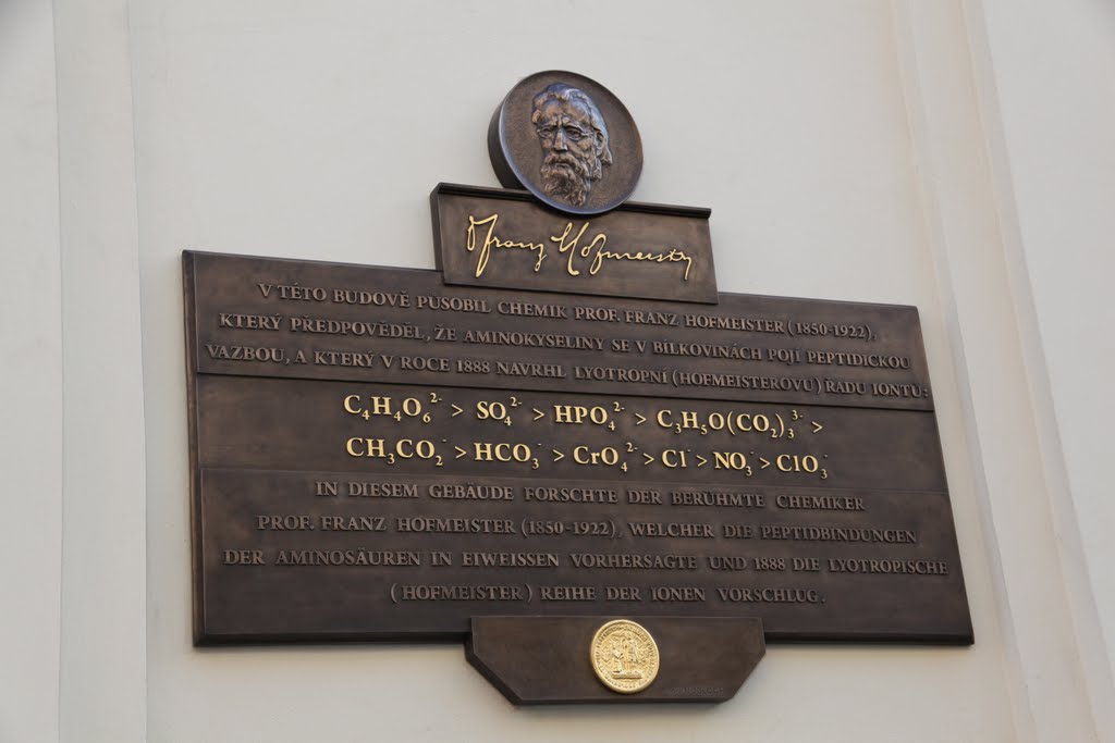 Commemorative plaque to Franz Hofmeister by Ondrej Marsalek