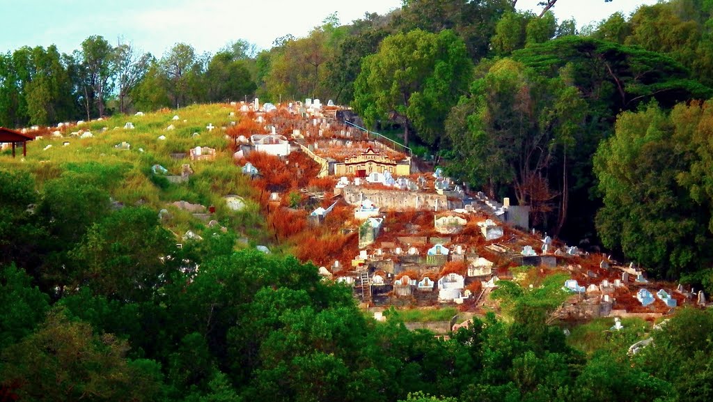 Cemetery by clone_alien