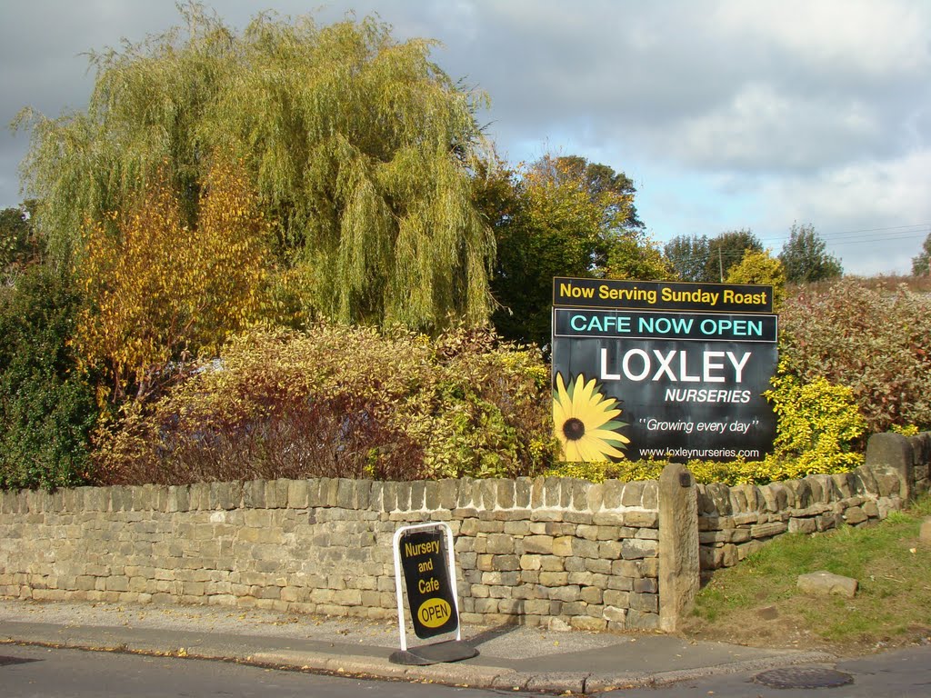 Loxley Nurseries sign and autumn display, Loxley Road/Long Lane, Loxley Valley, Sheffield S6 by sixxsix