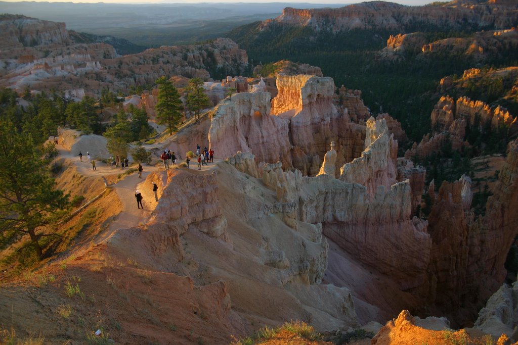 Bryce Canyon - Morning sun 2 by Michael Goggioli