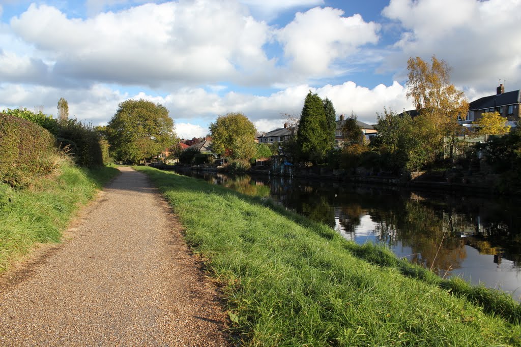 A Warm Autumn Day Near Cherry Tree on the Canal by paulhartland