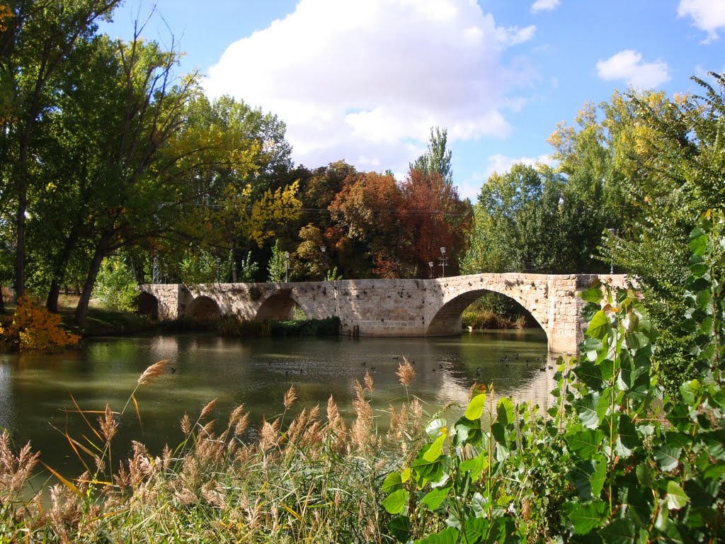 PUENTES DEL MEDIEVO by cipry gutierrez