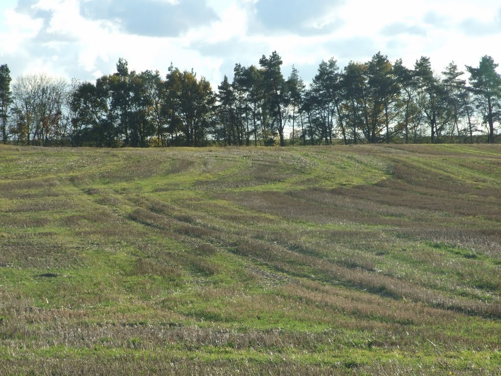 Jesienne pole w pobliżu Locknitz by jantyp