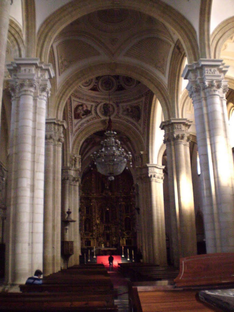 Interior de la Catedral by Luis F. Delgado