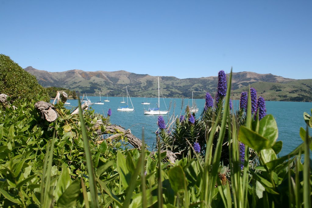 Akaroa, New Zealand by dolfyn