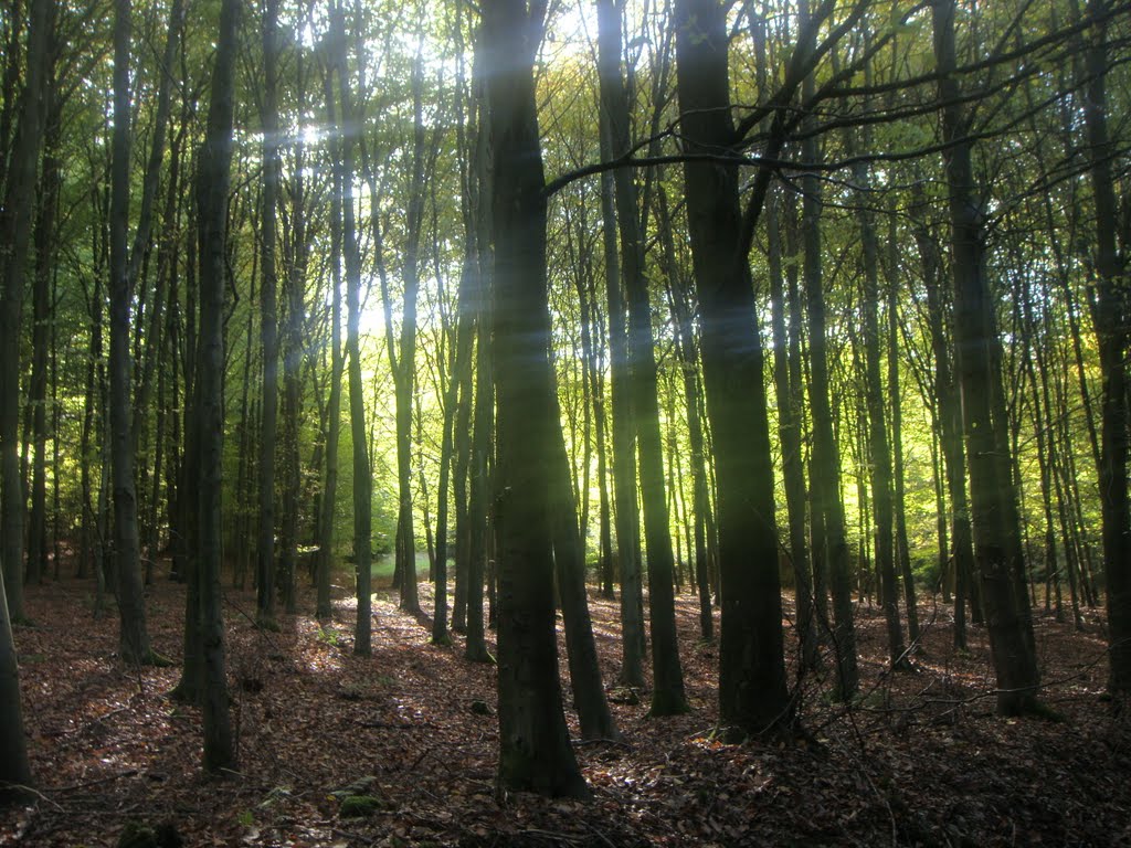 Marche-en-Famenne, Belgium by robaye