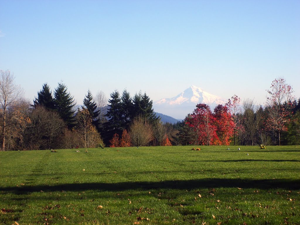 Willamette National Cemetary with Mt. Hood in the Background by djohnfot