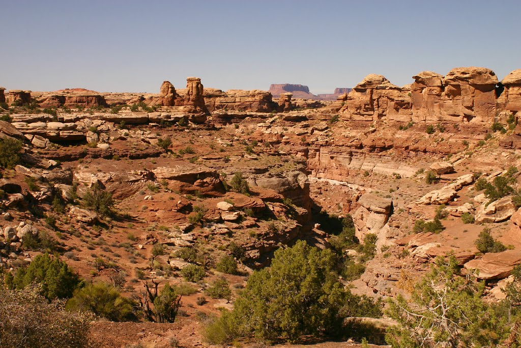 Big Spring Canyon, the Needles by GM Stephan