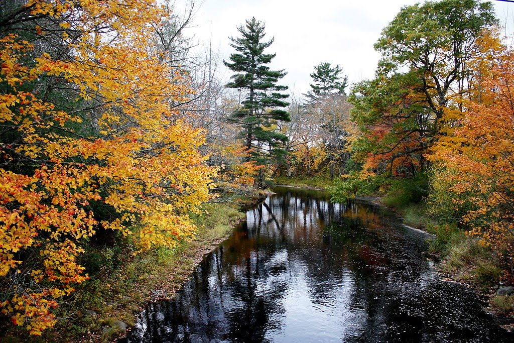 Pleasant River, Lunenburg County, Nova Scotia by jonfromnsca