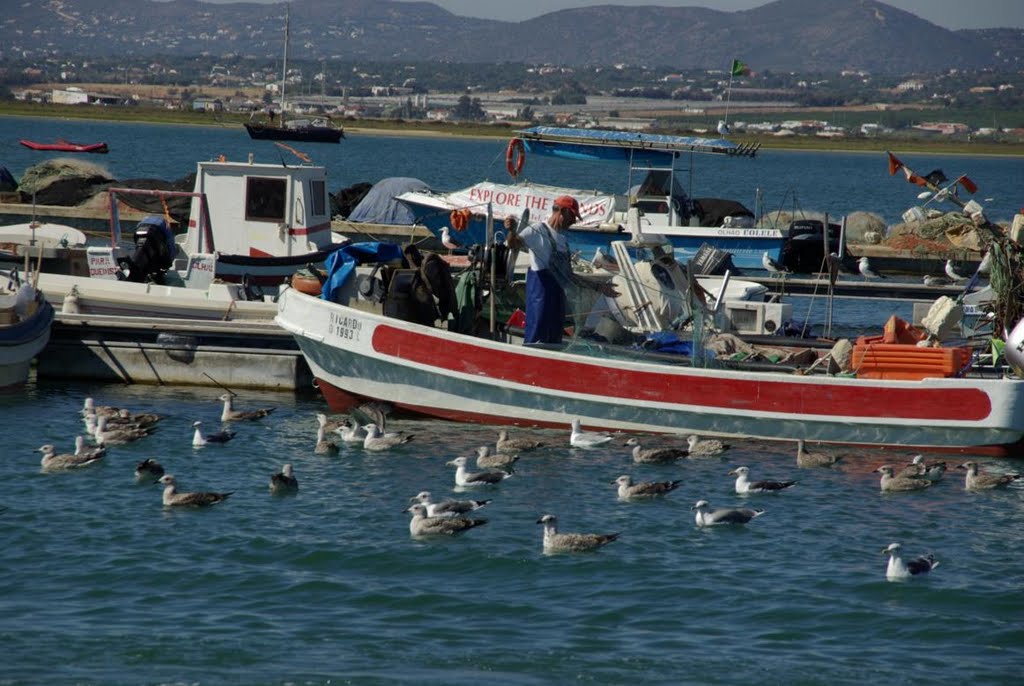 Pescador limpando as redes by GCabanita