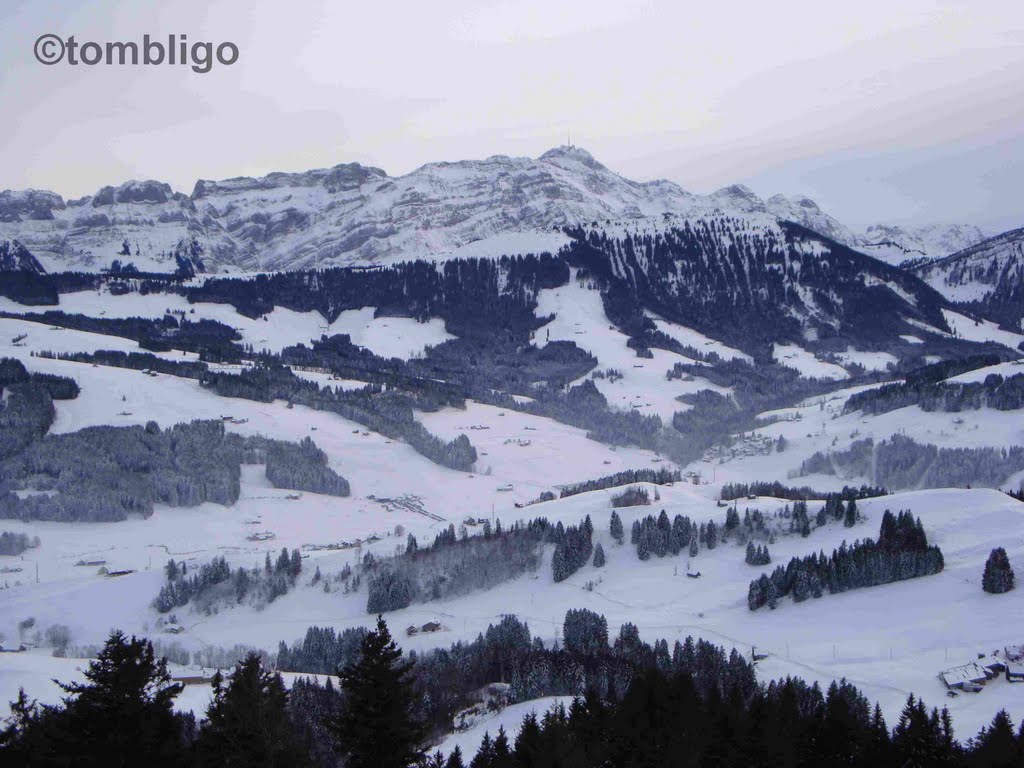 Hundwiler Höhe - Blick Richtung Säntis by ©tombligo