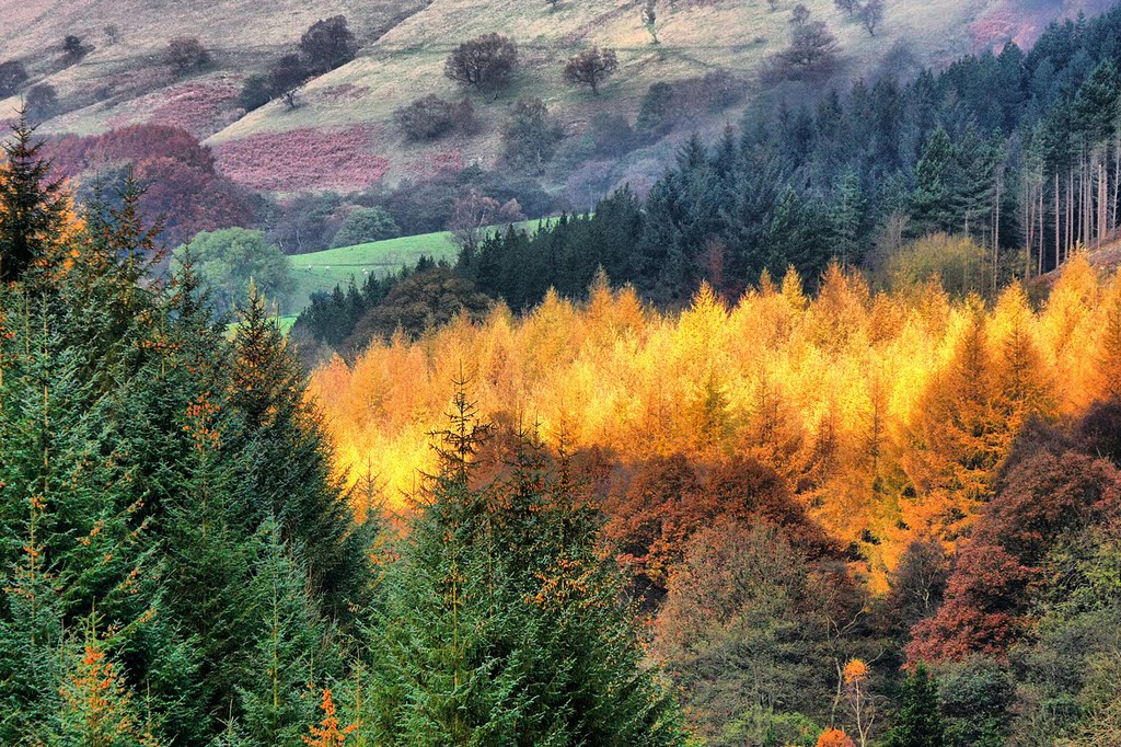 Derwent Water Derbyshire by Wallgo.com