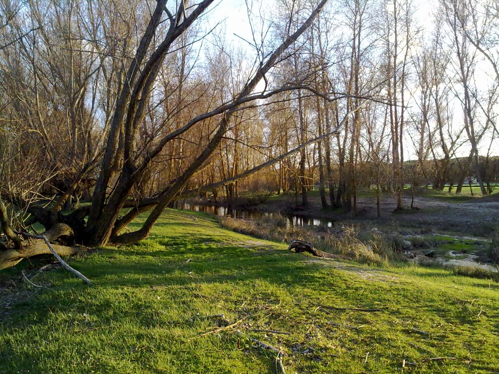 La ribera del río Castrejón de Trabancos by PATABUEY