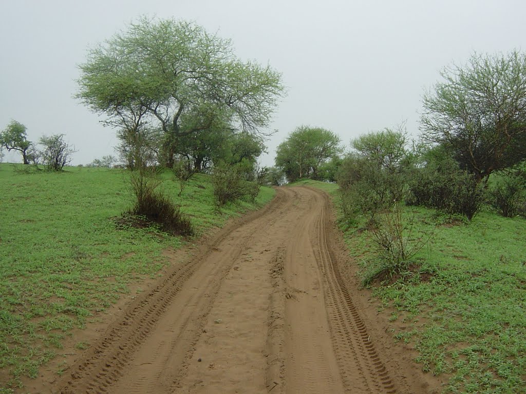 Beautiful Thar coal field, by GIS & RS Cell - Sindh Irrigation & Drainage Authority. Hyderabad Pakistan by Imran Aziz Tunio