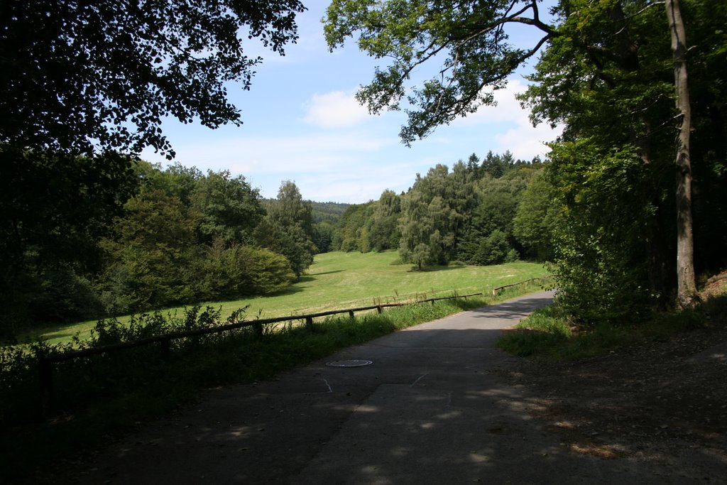 Reichenbachweg Freies Feld wunderbar für Hunde! by Noki71