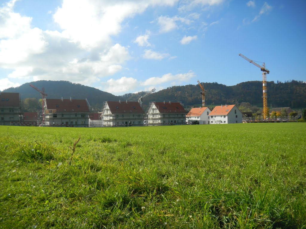 Construction works in Neu Pfungen by SwissTrips