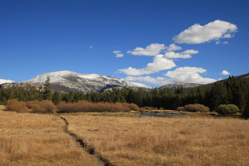 Tuolumne Meadows, Yosemite National Park by David J Carr Photogr…