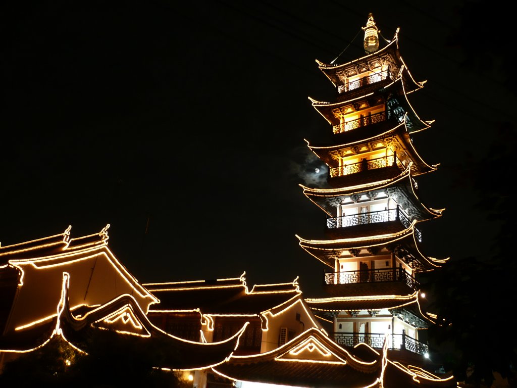 Pagode in Downtown Jiading by flogerold