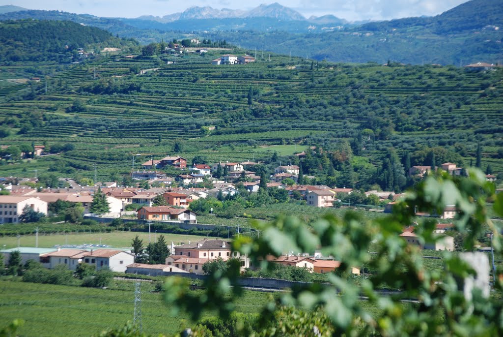 Valpolicella by fedeValpo