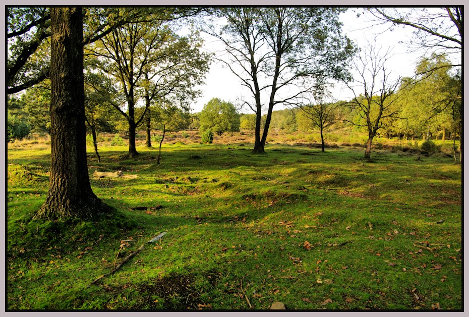 Molenhoek Heumenseschans by asgar