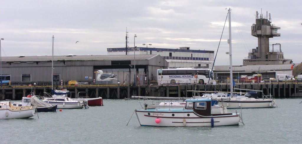 Herring Gull - Parked! by Jane Palmer