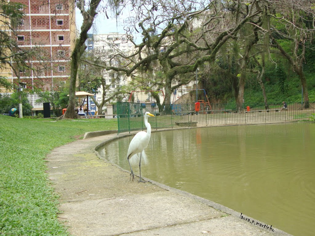 O Parque Eduardo Guinle tem muitos visitantes, a Garça e uma moradora permanente no Parque... by laura.p.martinho@gmail