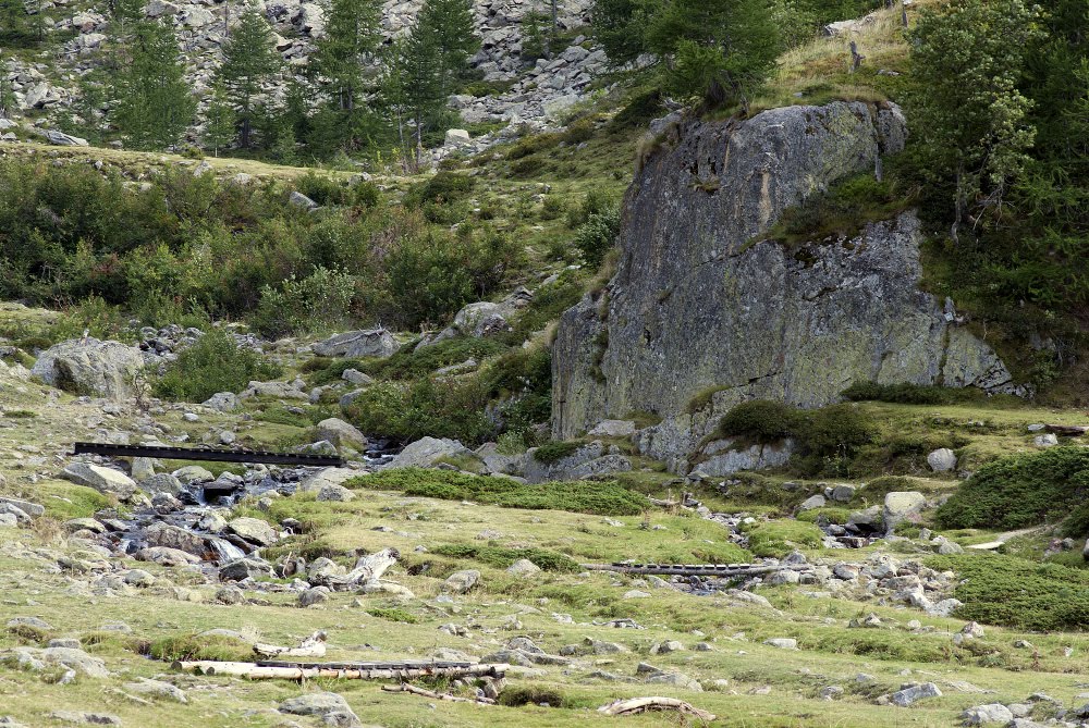 Ponti verso il rifugio Regina Elena by Luca Maghini