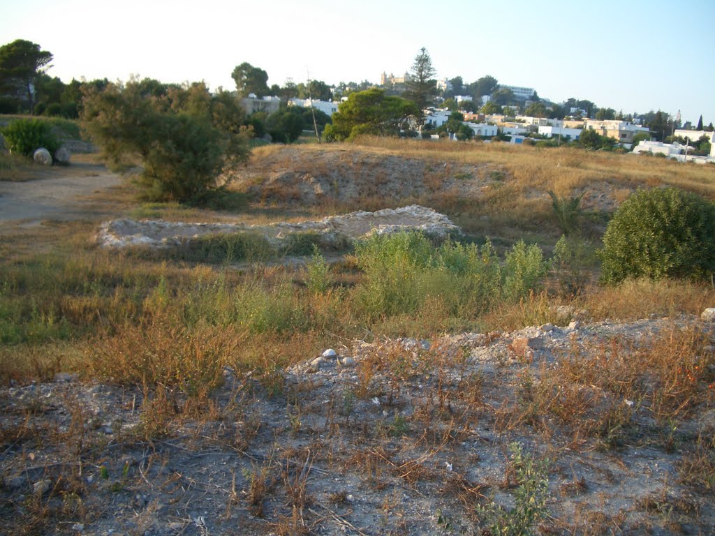 موقع الأثري بقرطاج / Ports puniques, Site archéologique de Carthage / Punic ports, Site of Carthage by LittleGray