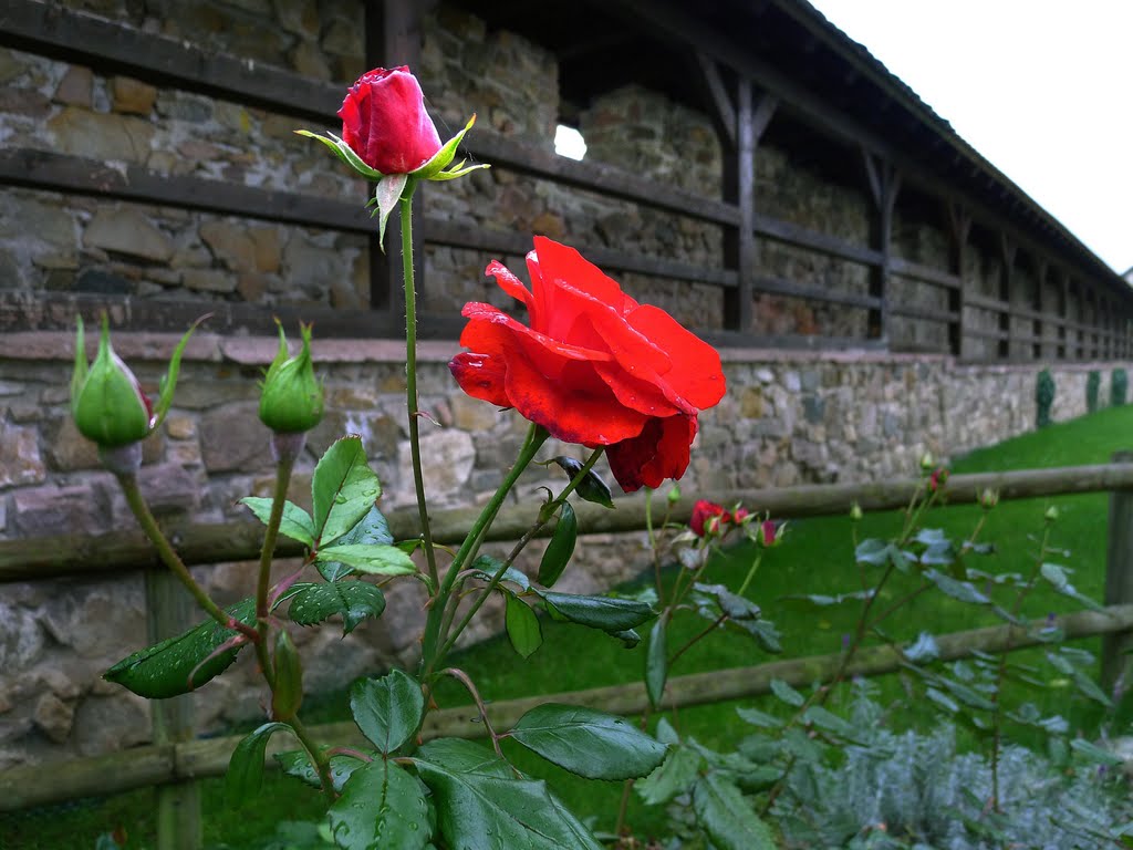 An der Stadtmauer by Holger Uwe Schmitt