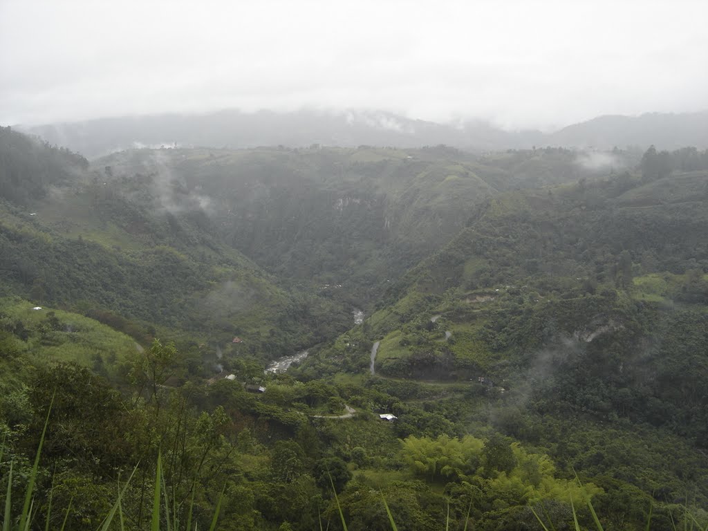 Vista del cañon del río Magdalena desde San Agustín by Alejandrino Tobón