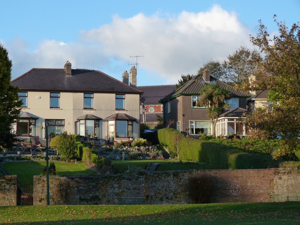 Irish house by Pietro Lanfr.