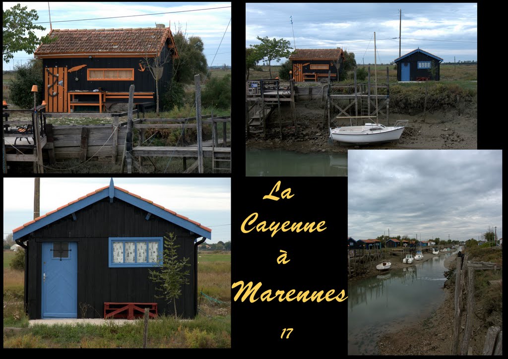 Cabanes à Marennes by Dominique Montestier