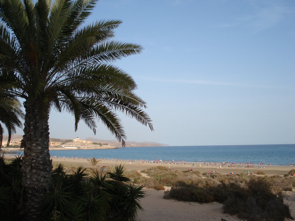 Costa Calma Beach by diana hofmann