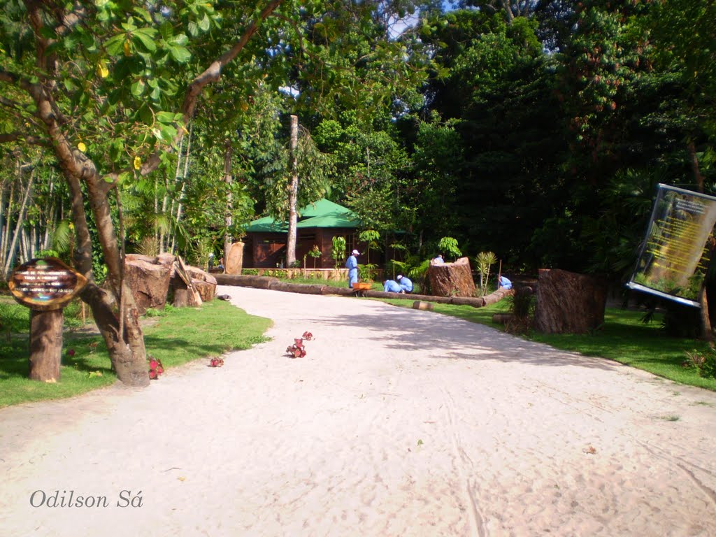 Parque Ambiental de Ananindeua "Antônio Danúbio" by Odilson Sá