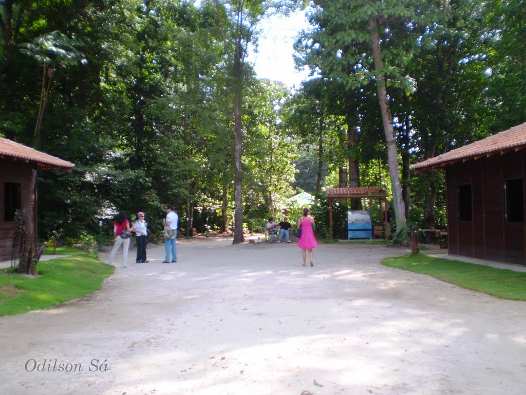 Parque Ambiental de Ananindeua "Antônio Danúbio" by Odilson Sá